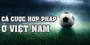 Cá Cược Hợp Pháp Ở Việt Nam, Tất Cả Thông Tin Phải Biết