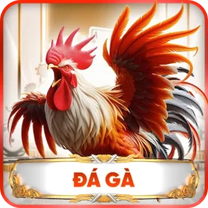 Đá Gà TK88 – Những Trận Đấu Nảy Lửa Dành Cho Người Đam Mê Chọi Kê